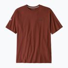 Pánská trička Patagonia Fitz Roy Icon Responsibili-Tee dried vanilla