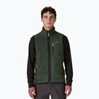Pánská vesta Patagonia Retro Pile Fleece old growth green