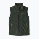 Pánská vesta Patagonia Retro Pile Fleece old growth green
