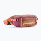 Ledvinka Patagonia Black Hole Waist Pack 5 l peach sherbet