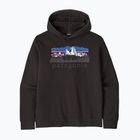 Pánská trekingová mikina Patagonia Fitz Roy Foothills Daily Hoody black