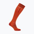 Pánské lyžařské ponožky icebreaker Merino Ski+ Ultralight OTC fervid/agate