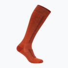 Pánské lyžařské ponožky Icebreaker Merino Ski+ Medium OTC fervid/agate/java