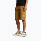 Pánské trekové šortky The North Face Exploration Cargo Shorts utility brown