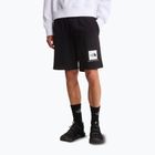 Pánské trekové šortky The North Face Box Nse Light Regular Shorts black