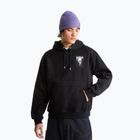 Pánská mikina The North Face Apex '75 Collage Relaxed Hoodie tnf black