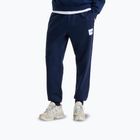 Pánské kalhoty The North Face Evo Box Half Dome Regular Tappered summit navy
