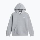 Dětská mikina The North Face Evolution Simple Dome Pullover Hood tnf pale grey heather