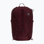 Turistický batoh The North Face Borealis Trail 27 l deep burgundy