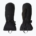 Lyžařské rukavice The North Face Montana Mitt tnf black