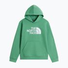 Dětská mikina The Noryh Face Essential Drew Peak Hoodie dimmed algae