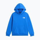 Dětská mikina The North Face Evolution Box NSE Pullover Hoodies active blue