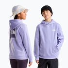 Dětská mikina The North Face Evolution Box NSE Pullover Hoodies pale plum