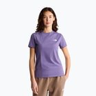 Dámské tričko The North Face Evolution Simple Dome Slim SS grounded plum
