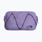 Ledvinka The North Face Terra Lumbar 1 l grounded plum/endless
