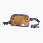 Ledvinka The North Face Terra Lumbar 1 l utility brown/peak purple