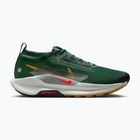 Pánské běžecké boty Nike Pegasus Trail 5 GORE-TEX fir/bright crimson/clay green