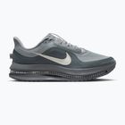 Pánské běžecké boty Nike Pegasus Premium wolf grey/cool grey/anthracite/sail