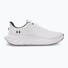 Pánské běžecké boty Under Armour Ascend white/black/distant gray