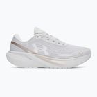 Dámské běžecké boty Under Armour Velociti Sport halo gray/metallic buff/white