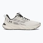 Pánské tréningové boty Under Armour FLX TR summit white/black/black