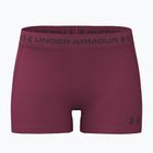 Dámské tréninkové šortky Under Armour HeatGear Shorty claret/ox blood
