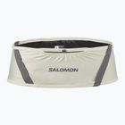 Běžecký pás Salomon Pulse icicle / castlerock
