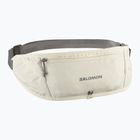 Běžecký pás Salomon Pulse Sling icicle / castlerock