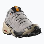 Pánské běžecké boty Salomon Speedcross 6 GTX gull/white pepper/black