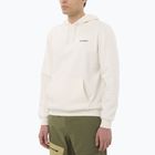 Pánská mikina Salomon Chest Logo Hoodie whisper white