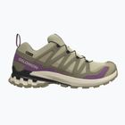 Dámské běžecké boty Salomon XA Pro 3D V9 GTX bog/aloe