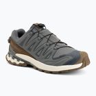 Pánské běžecké boty Salomon XA Pro 3D V9 GTX Lifelong sedona sage/coyote brown