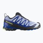 Pánské běžecké boty Salomon XA Pro 3D V9 Icon black/brunnera blue