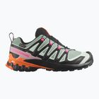 Dámské běžecké boty Salomon XA Pro 3D V9 GTX Icon black/green milieu
