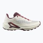 Dámské běžecké boty Salomon Genesis 2 vanilla ice/huckleberry
