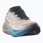 Pánské běžecké boty Salomon Aero Blaze 4 GRVL GTX oxford tan/black