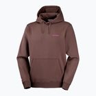 Pánská běžecká mikina Salomon Shortney Hoodie shopping bag
