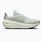 Dámské běžecké boty Nike Winflo 12 off white/barely green/metallic silver