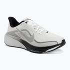 Pánské běžecké boty Nike Pegasus 42 summit white/metallic silver-photon dust