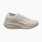 Pánské běžecké boty Nike ACG Pegasus Trail GORE-TEX Cream Ii/Light Orewood Brown