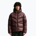 Pánská péřová bunda Nike Windrunner light chocolate/light chocolate/white