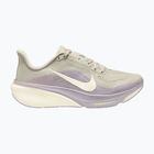 Dámské běžecké boty Nike Pegasus 42 light bone/silver lilac/sail