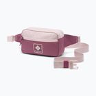 Ledvinka Columbia Trail Traveler Hip 2 l mineral pink/antique mauve