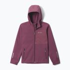 Dětská softshellová bunda Columbia Ascender Hooded Softshell antique mauve