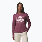Dámské tričko Longsleeve Columbia Parsons Point LS Graphic Tee antique mauve heather/all terrain