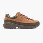Pánské trekové boty Columbia Newton Alpine Low grizzly bear/red oxide