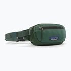 Ledvinka Patagonia Terravia Mini Hip canopy green