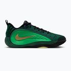 Pánské basketbalové boty Nike Giannis Immortality 5 gorge green/green spark/metallic gold