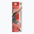 Plakát Sveltus Elastiband 3 Strengths colorfull