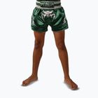Dětské tréninkové šortky Venum Inferno Muay Thai forest green/off white